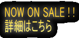 NOW ON SALE ! ! ڍׂ͂